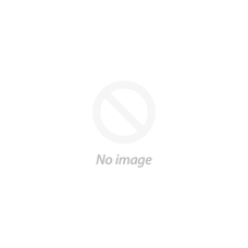 VX / WH Commodore Parts